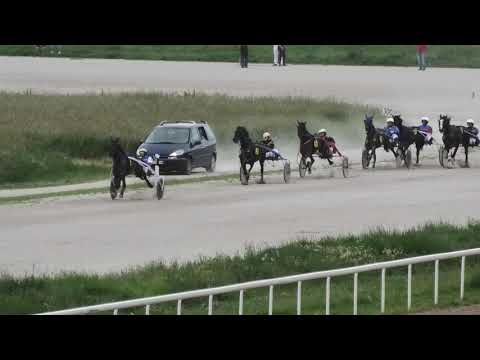 Trka "Borivoje Cocić" 26.05.2019 Quick Viervil - Miodrag Pantić