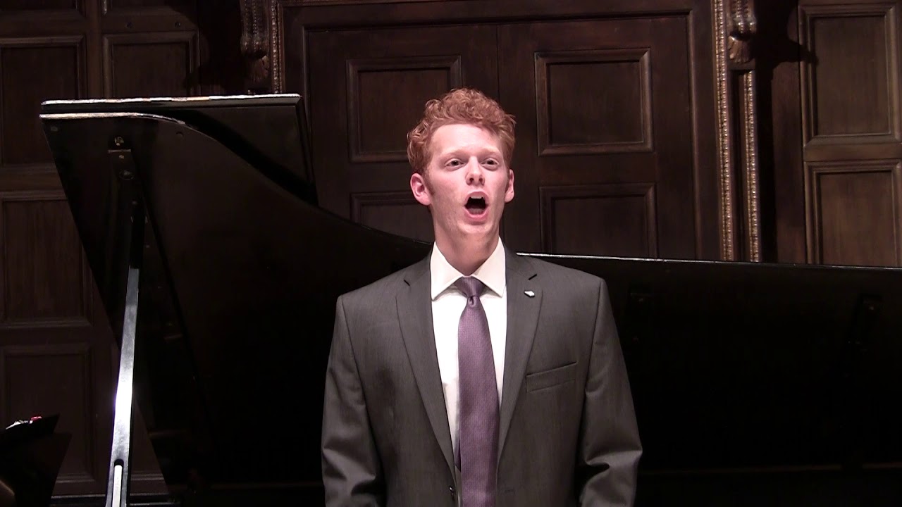 Promotional video thumbnail 2 for Anders Namestnik