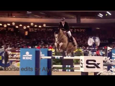 Edit || Pieter Devos - Apart💞🐴