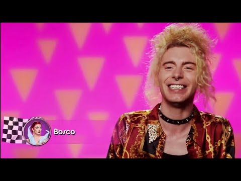 bosco has the sweetest laugh | Best of Bosco