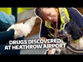 Suspicious Package Found At Heathrow Britain S Busiest Airport S5 E5 Our Stories