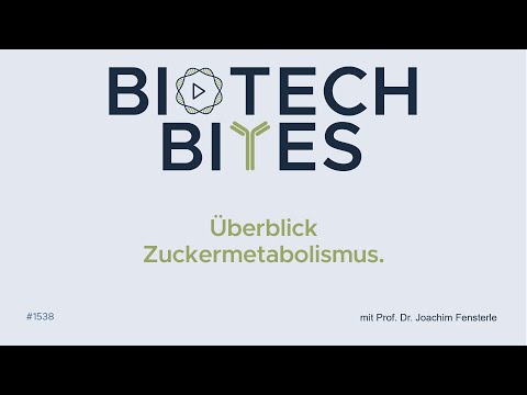 Biotech-Bites - Überblick Zuckermetabolismus.