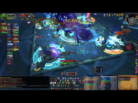 Heroic 25 man Sha of Pride vs Intuition Survival Hunter POV