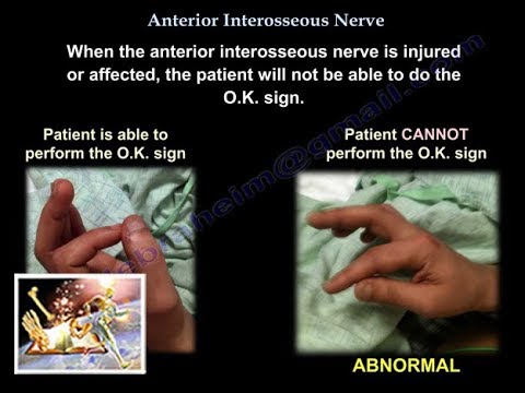 Anterior Interosseous Nerve - Everything You Need To Know - Dr. Nabil Ebraheim