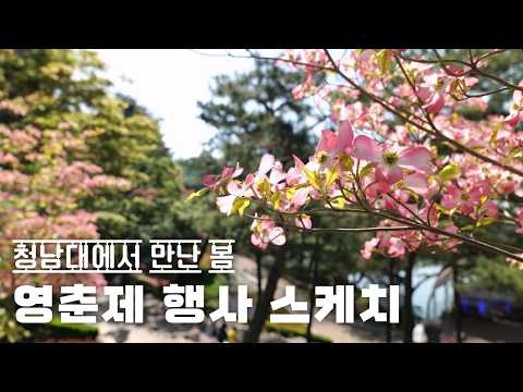 sns 이미지