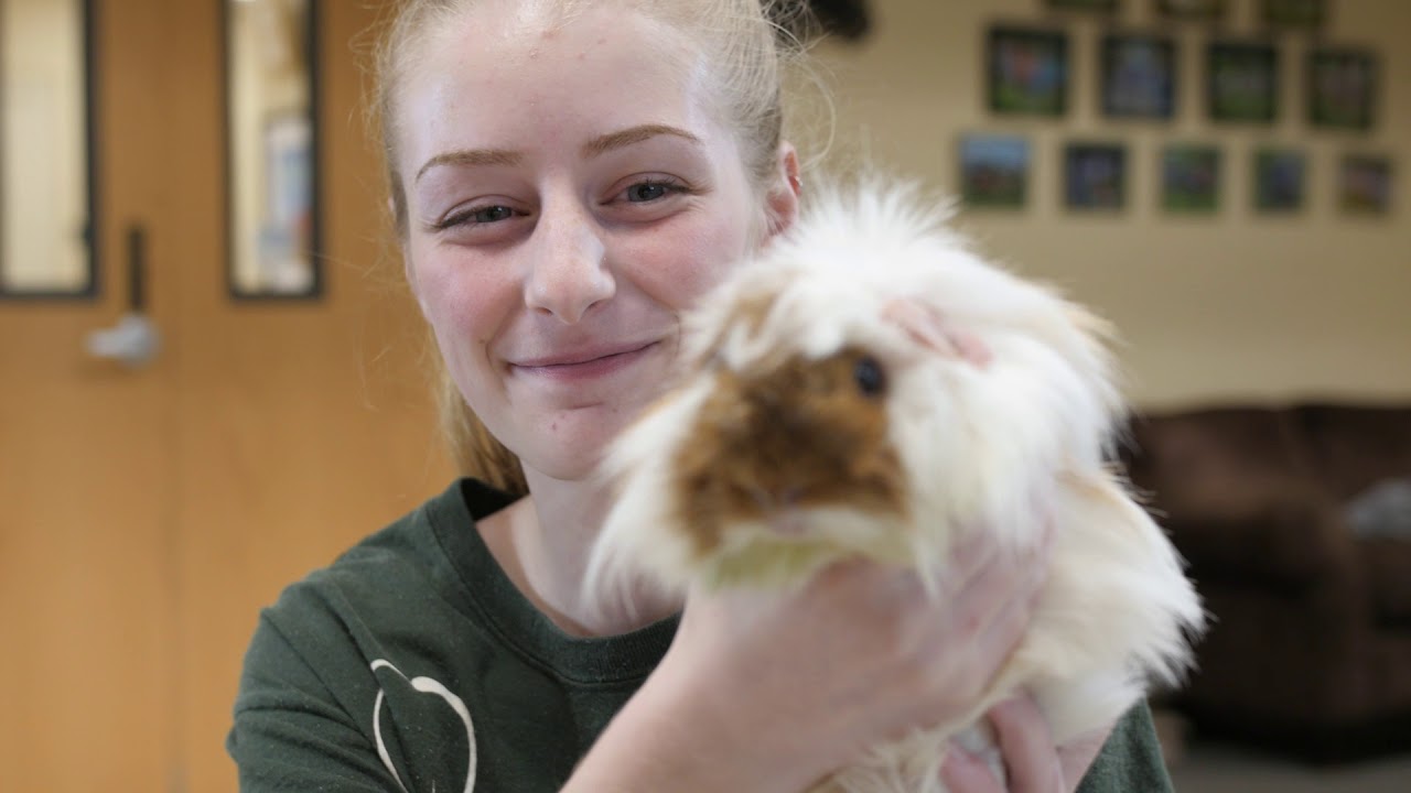 BHS's Humane Education Program