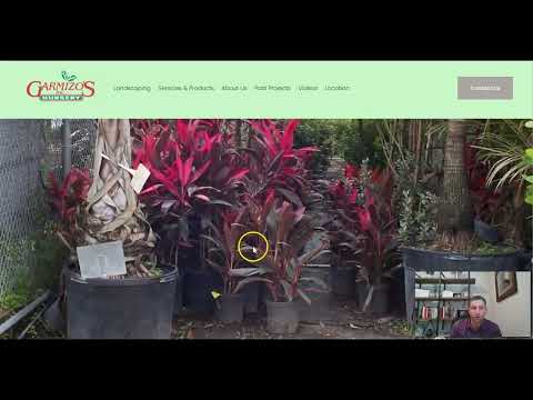 Garmizos Nursery