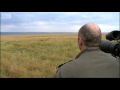 Simba Under Attack Big Cat Diary BBC Earth