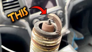 This is what our spark plugs look like after 1 year