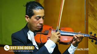 Video de Mariachi Internacional