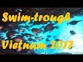 Diving - Swim-trough Madonna Rock - Nha Trang - Vietnam 2017