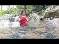 Find Meet A Lot Prawn In River For Food Prawn Curry Spicy With Mushroom So Delicious Food