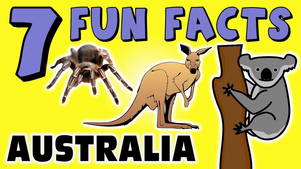 7 FUN FACTS ABOUT AUSTRALIA! FACTS FOR KIDS! Koala Bears! Kangaroos! Spiders! Learning Colors! FUN!