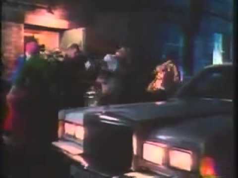 U MV021   The Auteurs   Lenny Valentino