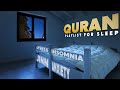 Quran ULTIMATE SLEEP PLAYLIST Jinn Anxiety Insomnia ONE HOUR Fatih Seferagic