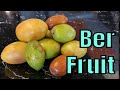 Indian Jujube Review (Ziziphus mauritiana)  - Weird Fruit Explorer Ep 303