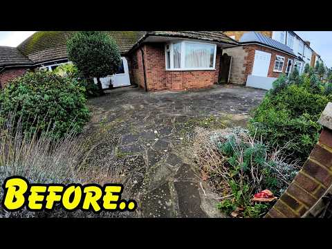 SURPRISE Clean! Early in the morning.. reaction was Priceless!