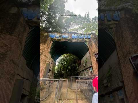 A world of wonder!! 🐡🪸🫧🪼 #deepnawijethunga