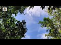 Apne To Jaise Taise Instrumental Music