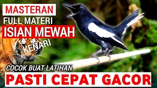 Download lagu 🔴GILA ⁉️ - MASTERAN KACER GACOR FULL ISIAN MEWAH !! - Suara Burung Kacer yang cocok untuk Latihan ‼️ mp3