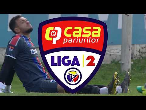 REZUMAT Liga 2: Ripensia Timişoara - Oţelul Galaţi 0-1