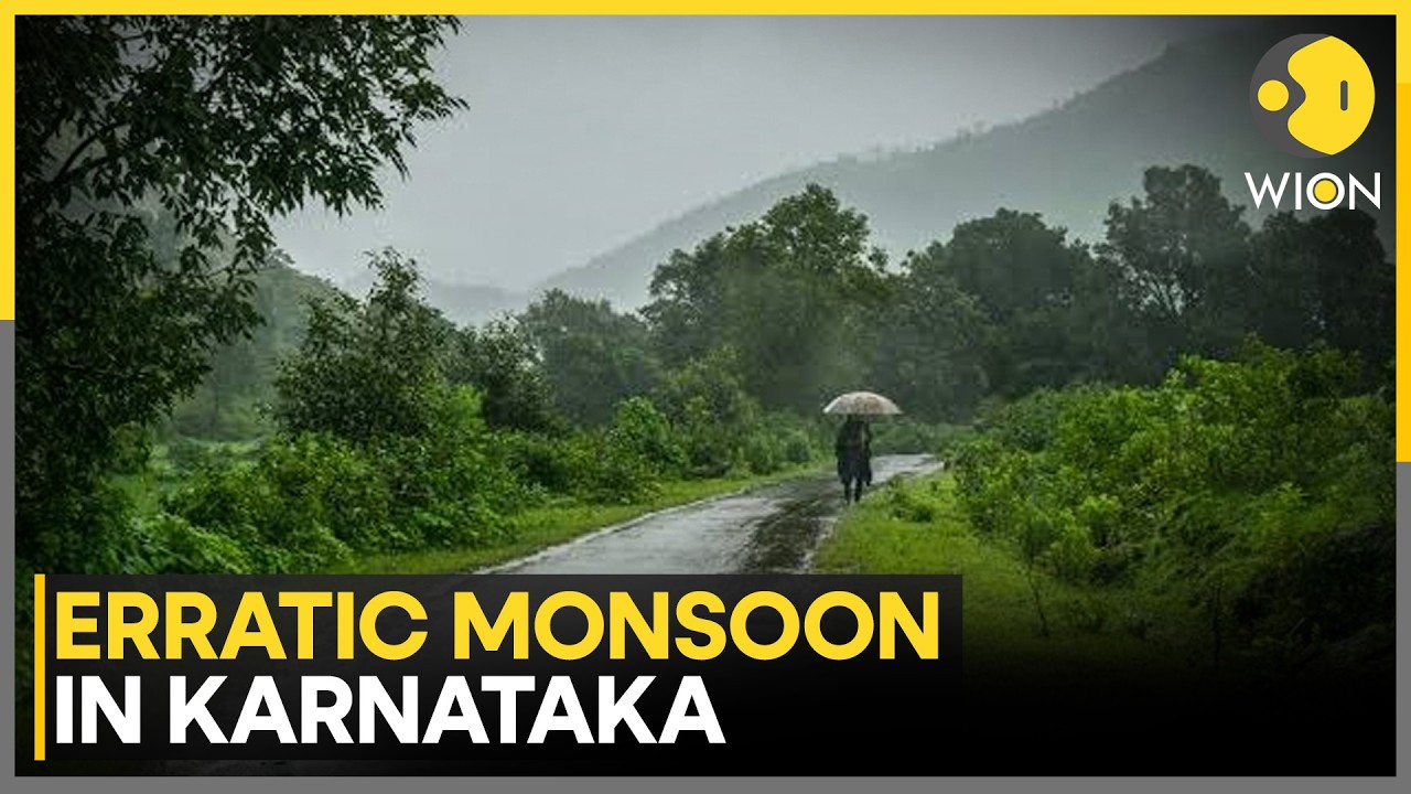 Erratic Monsoon In Karnataka: 2nd Driest Year In Last 50 Years | WION News
