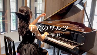 Download lagu 子犬のワルツ Chopin Op.64-1 'Minute Waltz' mp3 Download lagu 子犬のワルツ Chopin Op.64-1 'Minute Waltz' mp3