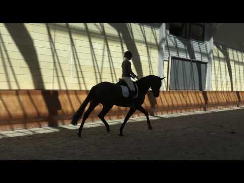 Gestüt Fohlenhof Haßloch - 4