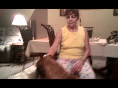 10/8/10. Iza spoils Gus with icecream