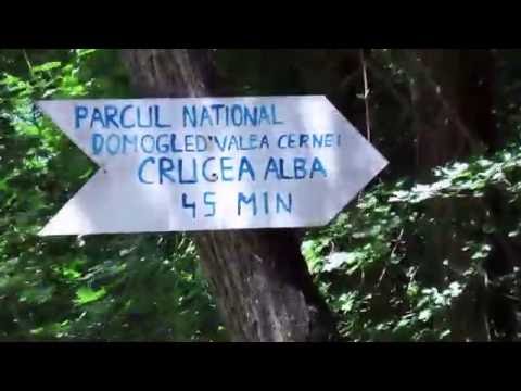 Traseu in Muntii Mehedinti catre Crucea Alba din Parcul National Domogled (19.07.2016)