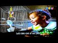 Barney Let S Take Care Of Our Pets Rabbits