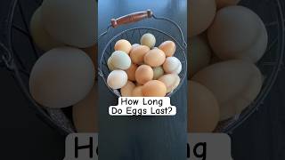 How Long Do Farm Fresh Chicken Eggs Last?