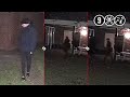 Inbrekers in huis van overleden Jan van Mullekom | Helenaveen
