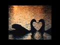 Aly & Fila feat. Josie ~ Listening (Vocal Trance ...