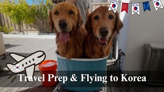 Long-Haul Travel Prep, Arriving in Korea for Fall | Groom, Pack & Sister’s Wedding Dress Tour 🇰🇷