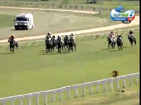 2015.02.22 Zimbabwe Guineas - Print The Pounds