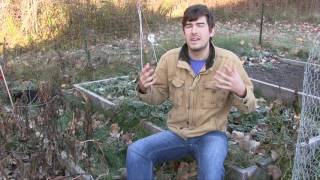 Cold Hardy Crops With Natural Anti-Freeze!