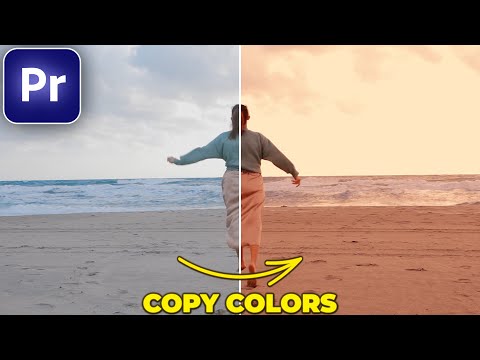 How to COPY COLOR GRADING in Premiere Pro