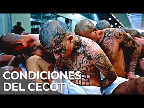 Inside CECOT, the largest prison in Latin America | Full Documentary in Spanish