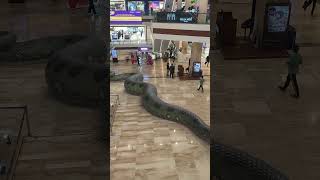 Download lagu Gaint Anaconda Snake in Mall 🐍🔥 #snake #shorts #vfx mp3 Download lagu Gaint Anaconda Snake in Mall 🐍🔥 #snake #shorts #vfx mp3