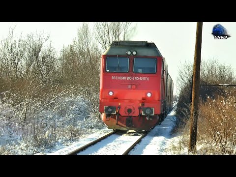 Jimmy Tricolor 64-0990-3 & Mecanic Grozav/Great Engineer in Halta Aleșd Halt - 16 January 2021
