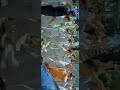 Jhatka Maare Full Screen Status Video Kyun Kii Salman Khan Status