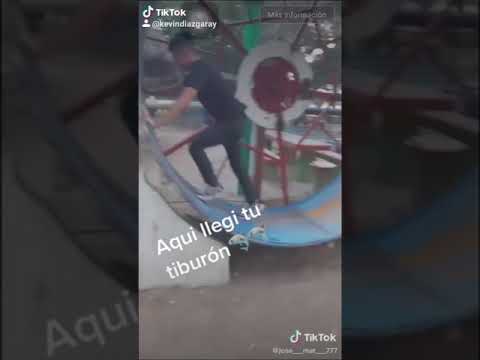 Aquí llego tu tiburón pero que tal caída