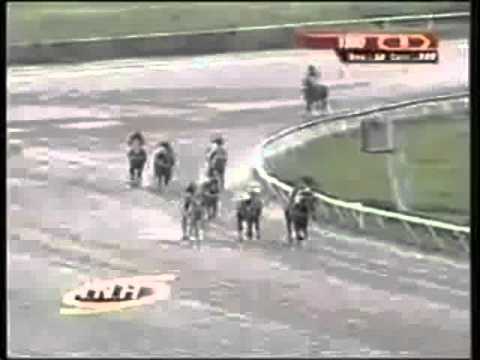 Resumen Jueves, 24 de Julio de 2014 - Valencia