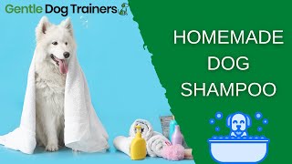 How To Make Homemade Dog Shampoo - EASY Recipe For Sensitive Skin