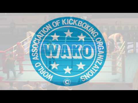 Aleksandr Dmitrenko (RUS) v Aleksandar Petrov (BUL) IWGA 2017