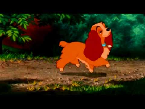 Ladyhontas trailer (Redone)