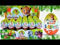 50 Kinder NATOONS Surprise Eggs Adorable Animal Cubs Inside