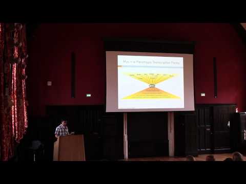 How to Kill Cancer Cells: Dan Lu