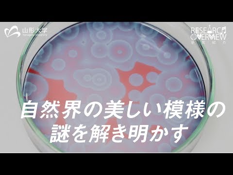 【山形大学】研究紹介2018：並河英紀(物理化学/理学部担当)